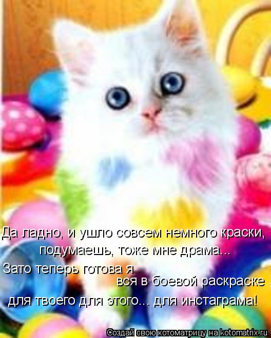 Зато теперь готова я вся в боевой раскраске подумаешь, тоже мне драма... Да ладно, и ушло совсем нем... Котоматрица: Зато теперь готова я вся в боевой раскраске подумаешь, тоже мне драма... Да ладно, и ушло совсем немного краски, для твоего для этого... для ин?