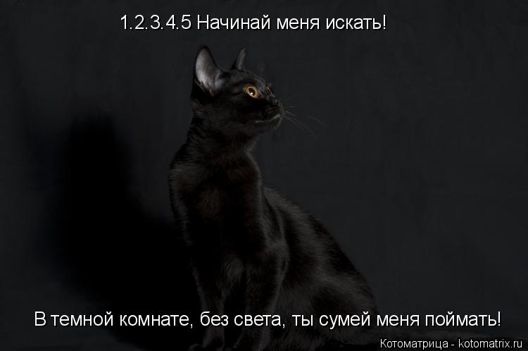 1.2.3.4.5 Начинай меня искать! В темной комнате, без света, ты сумей меня поймать!... Котоматрица: 1.2.3.4.5 Начинай меня искать! В темной комнате, без света, ты сумей меня поймать!