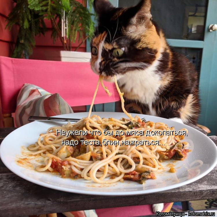 Котоматрица: Неужели что бы до мяса докопаться, надо теста,блин,нажраться...
