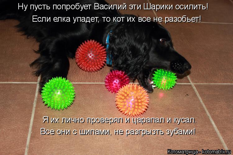Если елка упадет, то кот их все не разобьет! Ну пусть попробует Василий эти Шарики осилить! Я их личн... Котоматрица: Если елка упадет, то кот их все не разобьет! Ну пусть попробует Василий эти Шарики осилить! Я их лично проверял и царапал и кусал. Все они с ши