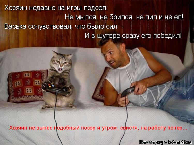 Котоматрица: Хозяин недавно на игры подсел: Васька сочувствовал, что было сил Не мылся, не брился, не пил и не ел! И в шутере сразу его победил! Хозяин не вы