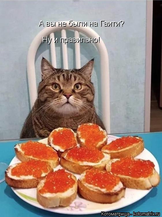 А вы не были на Гаити? Ну и правильно!... Котоматрица: А вы не были на Гаити? Ну и правильно!