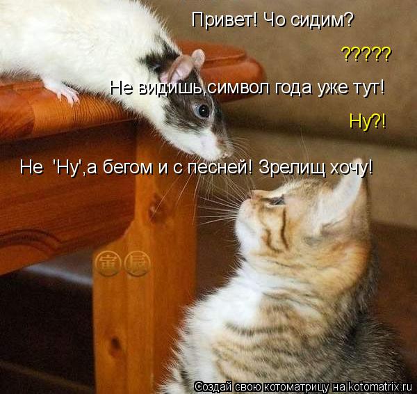 Привет! Чо сидим? ????? Не видишь,символ года уже тут! Ну?! Не 'Ну',а бегом и с песней! Зрелищ хочу!... Котоматрица: Привет! Чо сидим? ????? Не видишь,символ года уже тут! Ну?! Не 'Ну',а бегом и с песней! Зрелищ хочу!
