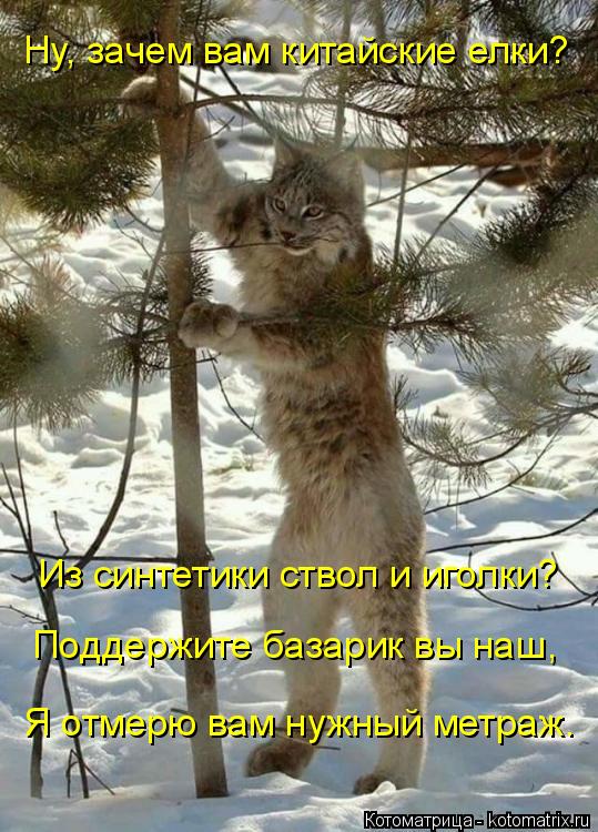 Ну, зачем вам китайские елки? Из синтетики ствол и иголки? Поддержите базарик вы наш, Я отмерю вам ну... Котоматрица: Ну, зачем вам китайские елки? Из синтетики ствол и иголки? Поддержите базарик вы наш, Я отмерю вам нужный метраж.
