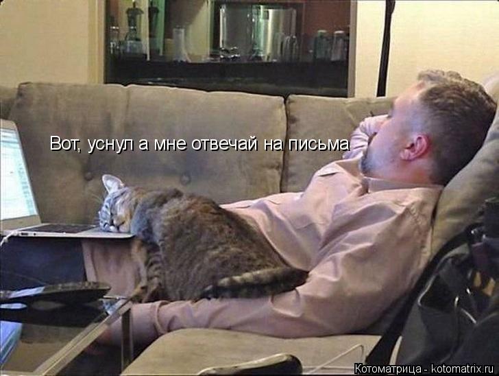 Вот, уснул а мне отвечай на письма... Котоматрица: Вот, уснул а мне отвечай на письма