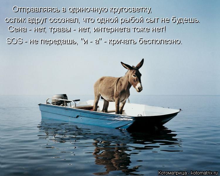 Отправляясь в одиночную кругосветку, ослик вдруг осознал, что одной рыбой сыт не будешь. Сена - нет, ... Котоматрица: Отправляясь в одиночную кругосветку, ослик вдруг осознал, что одной рыбой сыт не будешь. Сена - нет, травы - нет, интернета тоже нет! SOS - не пер