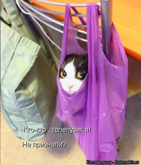 Кто-кто , телепузик я! Не признали?... Котоматрица: Кто-кто , телепузик я! Не признали?