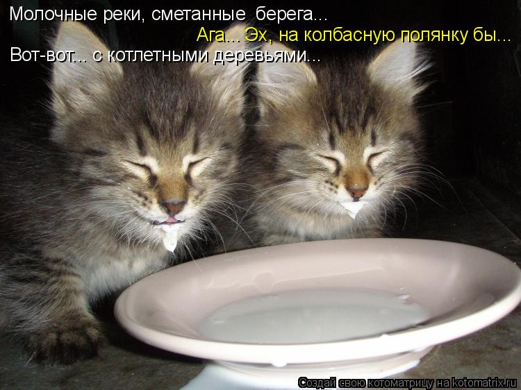 Молочные реки, сметанные берега... Ага... Эх, на колбасную полянку бы... Вот-вот... с котлетными дер... Котоматрица: Молочные реки, сметанные берега... Ага... Эх, на колбасную полянку бы... Вот-вот... с котлетными деревьями...