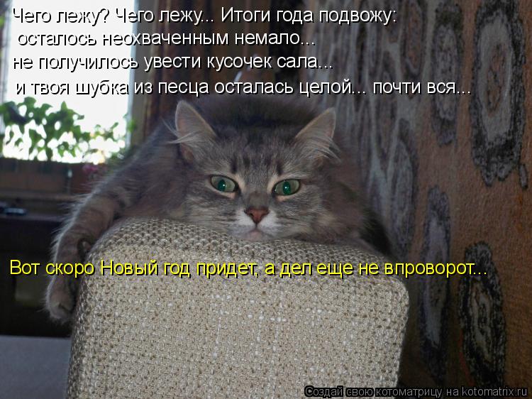 Чего лежу? Чего лежу... Итоги года подвожу: осталось неохваченным немало... не получилось увести кус... Котоматрица: Чего лежу? Чего лежу... Итоги года подвожу: осталось неохваченным немало... не получилось увести кусочек сала... и твоя шубка из песца осталас?