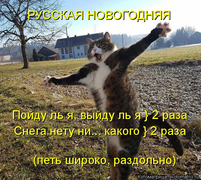 Котоматрица: РУССКАЯ НОВОГОДНЯЯ Пойду ль я, выйду ль я } 2 раза Снега нету ни... какого } 2 раза (петь широко, раздольно)