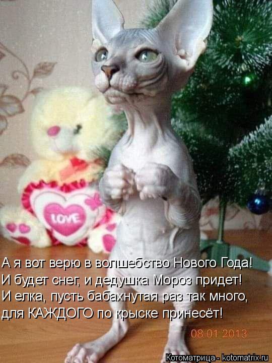 А я вот верю в волшебство Нового Года! И будет снег, и дедушка Мороз придет! И елка, пусть бабахнутая... Котоматрица: А я вот верю в волшебство Нового Года! И будет снег, и дедушка Мороз придет! И елка, пусть бабахнутая раз так много, для КАЖДОГО по крыске прин