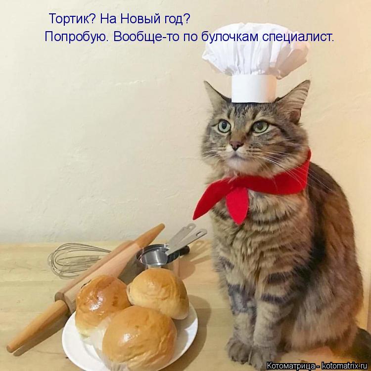 Тортик? На Новый год? Попробую. Вообще-то по булочкам специалист.... Котоматрица: Тортик? На Новый год? Попробую. Вообще-то по булочкам специалист.