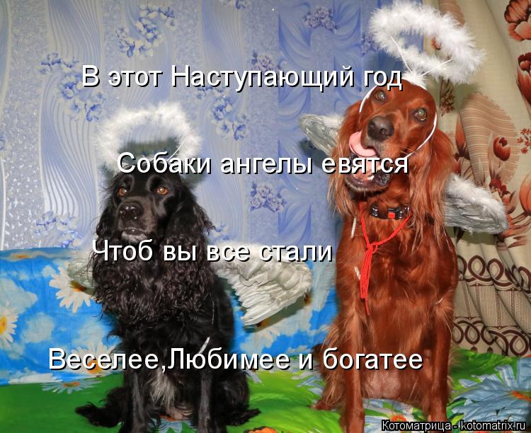 Чтоб вы все стали Веселее,Любимее и богатее Собаки ангелы евятся В этот Наступающий год... Котоматрица: Чтоб вы все стали Веселее,Любимее и богатее Собаки ангелы евятся В этот Наступающий год