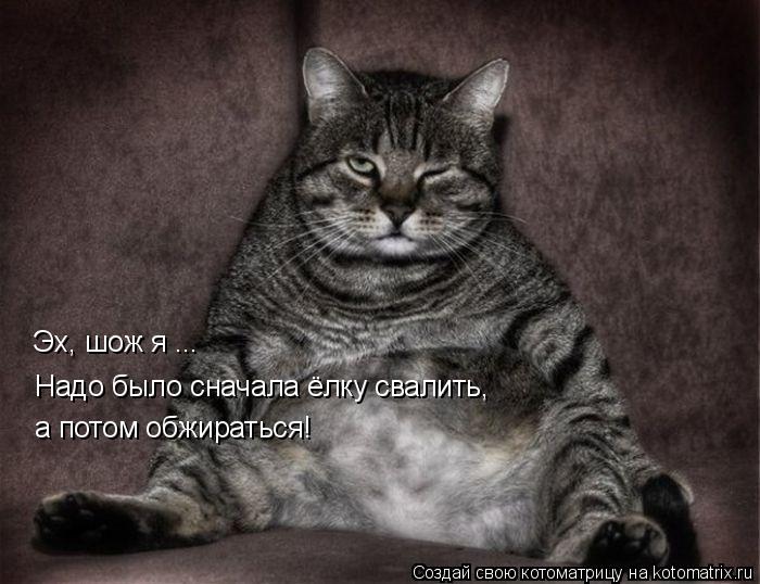 Эх, шож я ... Надо было сначала ёлку свалить, а потом обжираться!... Котоматрица: Эх, шож я ... Надо было сначала ёлку свалить, а потом обжираться!