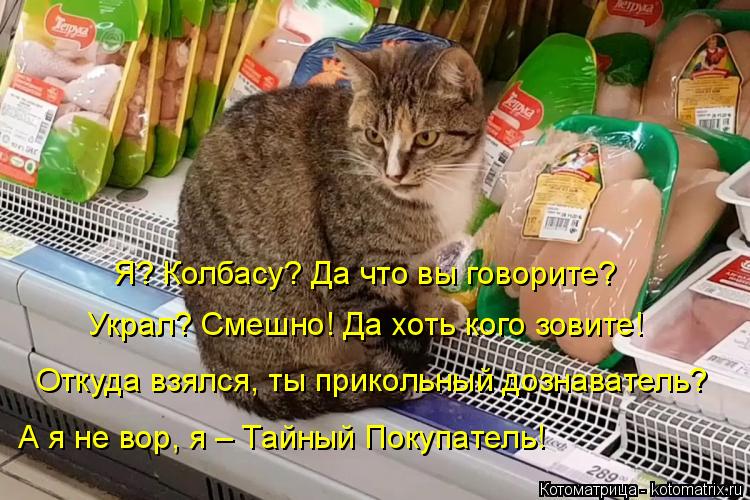 Я? Колбасу? Да что вы говорите? Украл? Смешно! Да хоть кого зовите! Откуда взялся, ты прикольный дозн... Котоматрица: Я? Колбасу? Да что вы говорите? Украл? Смешно! Да хоть кого зовите! Откуда взялся, ты прикольный дознаватель? А я не вор, я – Тайный Покупатель!