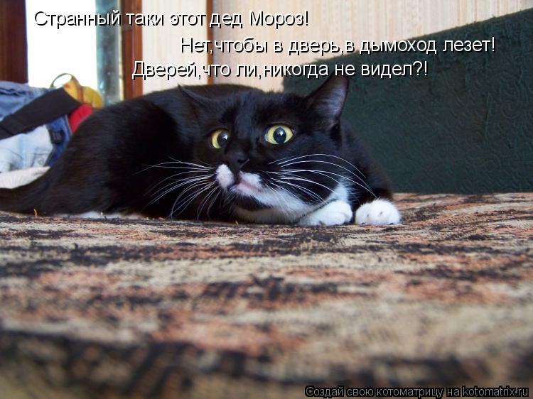 Странный таки этот дед Мороз! Дверей,что ли,никогда не видел?! Нет,чтобы в дверь,в дымоход лезет!... Котоматрица: Странный таки этот дед Мороз! Дверей,что ли,никогда не видел?! Нет,чтобы в дверь,в дымоход лезет!