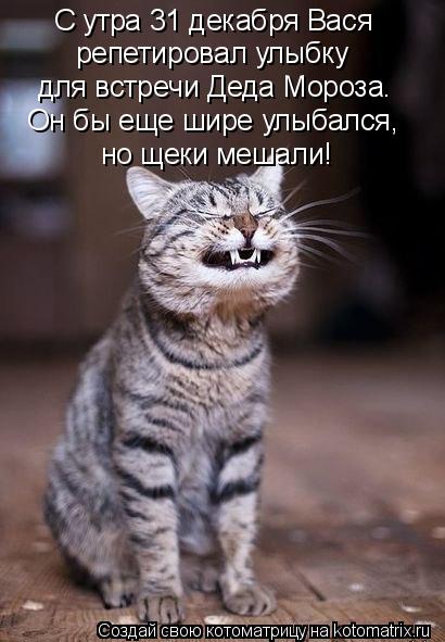 С утра 31 декабря Вася репетировал улыбку для встречи Деда Мороза. Он бы еще шире улыбался, но щеки ... Котоматрица: С утра 31 декабря Вася репетировал улыбку для встречи Деда Мороза. Он бы еще шире улыбался, но щеки мешали!