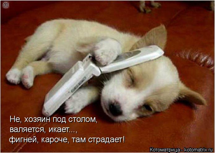 Котоматрица: Не, хозяин под столом,   валяется, икает...,   фигней, кароче, там страдает!
