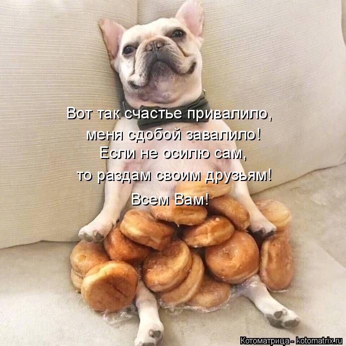 Если не осилю сам, то раздам своим друзьям! Всем Вам! Вот так счастье привалило, меня сдобой завалило... Котоматрица: Если не осилю сам, то раздам своим друзьям! Всем Вам! Вот так счастье привалило, меня сдобой завалило!