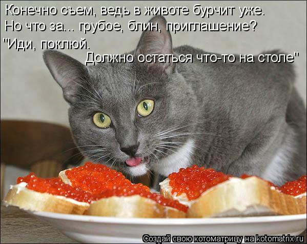 Конечно съем, ведь в животе бурчит уже. Но что за... грубое, блин, приглашение? "Иди, поклюй. Должно... Котоматрица: Конечно съем, ведь в животе бурчит уже. Но что за... грубое, блин, приглашение? "Иди, поклюй. Должно остаться что-то на столе"