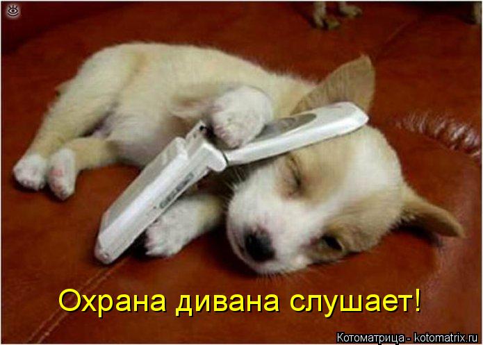 Охрана дивана слушает!... Котоматрица: Охрана дивана слушает!