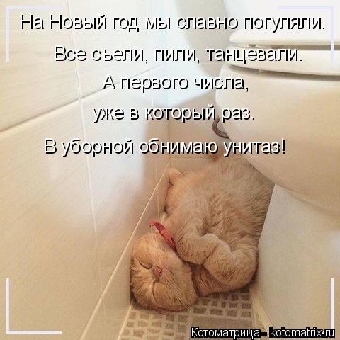 На Новый год мы славно погуляли. А первого числа, уже в который раз. В уборной обнимаю унитаз! Все съ... Котоматрица: На Новый год мы славно погуляли. А первого числа, уже в который раз. В уборной обнимаю унитаз! Все съели, пили, танцевали.