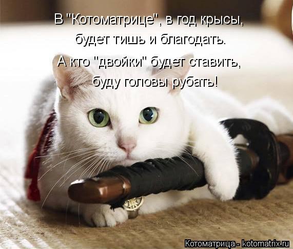 А кто "двойки" будет ставить, буду головы рубать! будет тишь и благодать. В "Котоматрице", в год крыс... Котоматрица: А кто "двойки" будет ставить, буду головы рубать! будет тишь и благодать. В "Котоматрице", в год крысы,