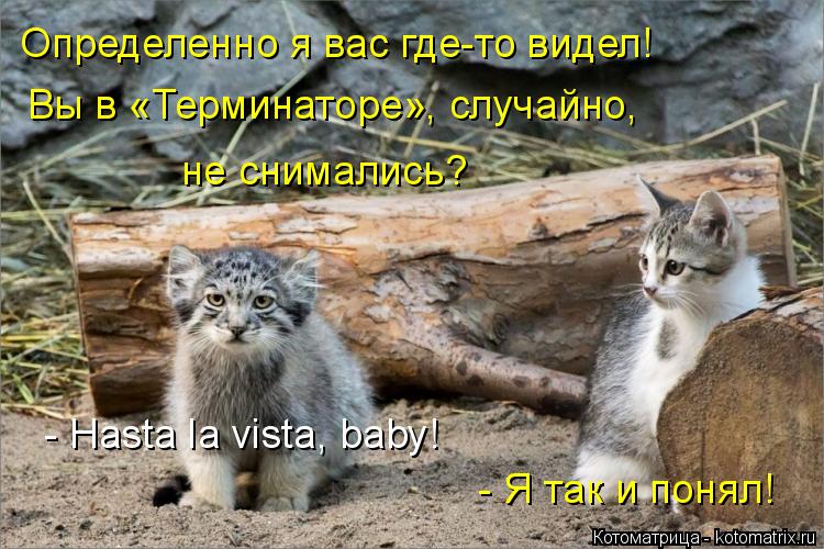 Определенно я вас где-то видел! Вы в «Терминаторе», случайно, не снимались? - Hasta la vista, baby! -... Котоматрица: Определенно я вас где-то видел! Вы в «Терминаторе», случайно, не снимались? - Hasta la vista, baby! - Я так и понял!