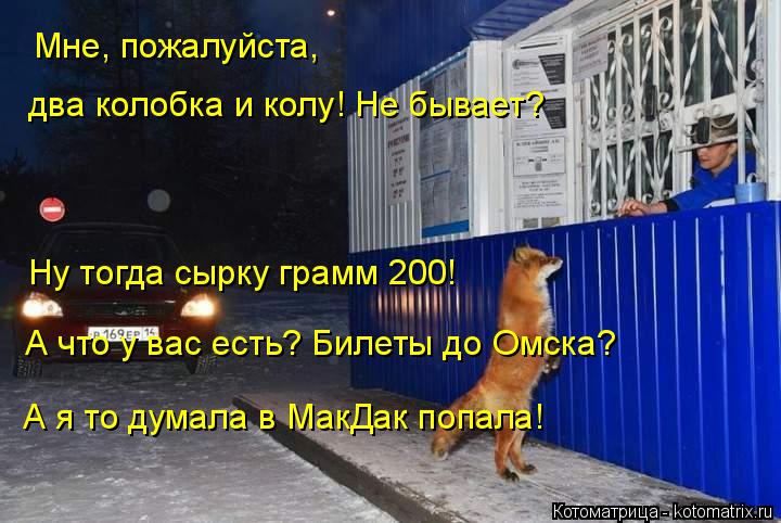 Котоматрица: Мне, пожалуйста, два колобка и колу! Не бывает? Ну тогда сырку грамм 200! А что у вас есть? Билеты до Омска? А я то думала в МакДак попала!