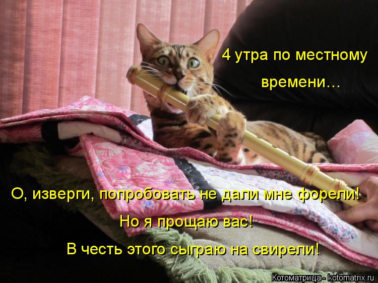 Котоматрица: 4 утра по местному времени… О, изверги, попробовать не дали мне форели! Но я прощаю вас!  В честь этого сыграю на свирели!