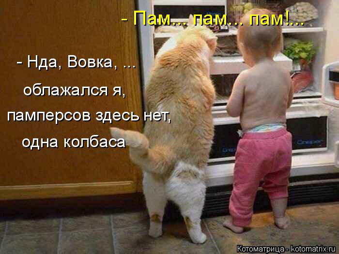 - Нда, Вовка, ... облажался я, памперсов здесь нет, одна колбаса - Пам... пам... пам!...... Котоматрица: - Нда, Вовка, ... облажался я, памперсов здесь нет, одна колбаса - Пам... пам... пам!...