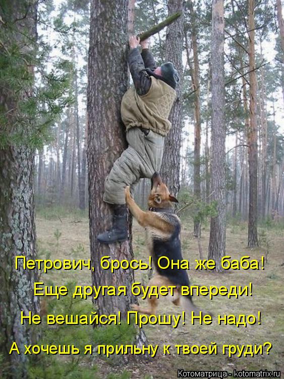 Петрович, брось! Она же баба! Еще другая будет впереди! Не вешайся! Прошу! Не надо! А хочешь я приль... Котоматрица: Петрович, брось! Она же баба! Еще другая будет впереди! Не вешайся! Прошу! Не надо! А хочешь я прильну к твоей груди?