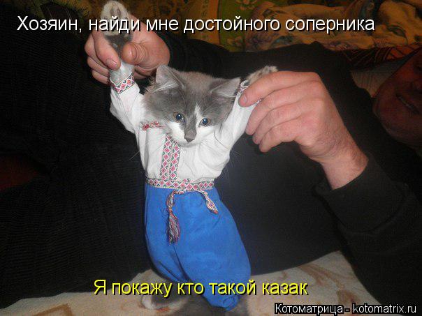 Хозяин, найди мне достойного соперника Я покажу кто такой казак... Котоматрица: Хозяин, найди мне достойного соперника Я покажу кто такой казак
