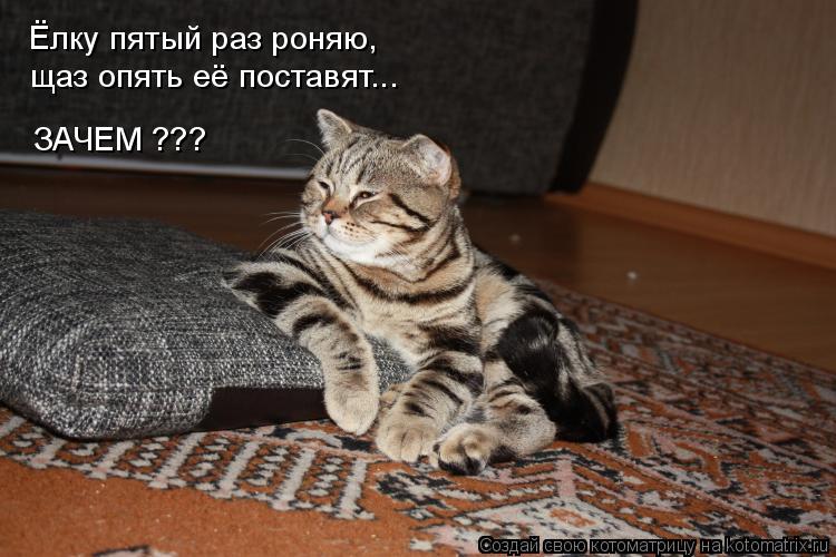 Ёлку пятый раз роняю, щаз опять её поставят... ЗАЧЕМ ???... Котоматрица: Ёлку пятый раз роняю, щаз опять её поставят... ЗАЧЕМ ???