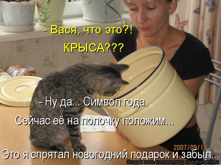 Котоматрица: - Вася, что это?!  КРЫСА??? - Ну да... Символ года. Сейчас её на полочку положим... Это я спрятал новогодний подарок и забыл...