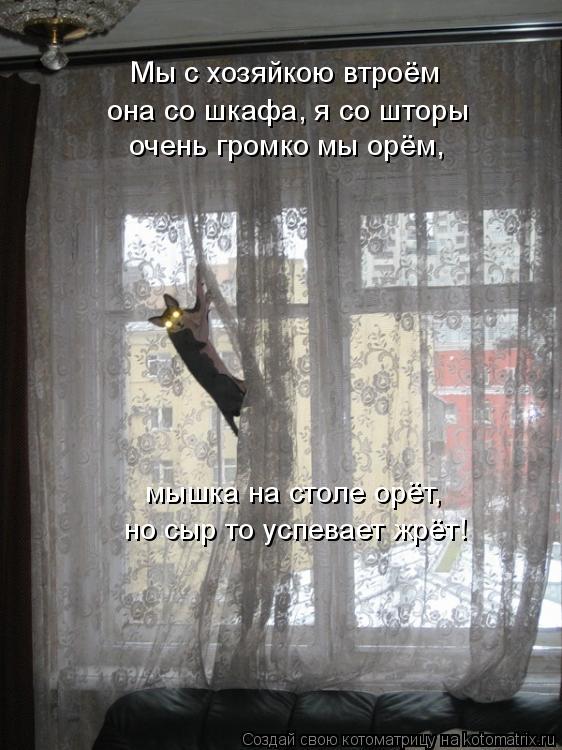 Котоматрица: Мы с хозяйкою втроём она со шкафа, я со шторы очень громко мы орём, мышка на столе орёт,  но сыр то успевает жрёт!