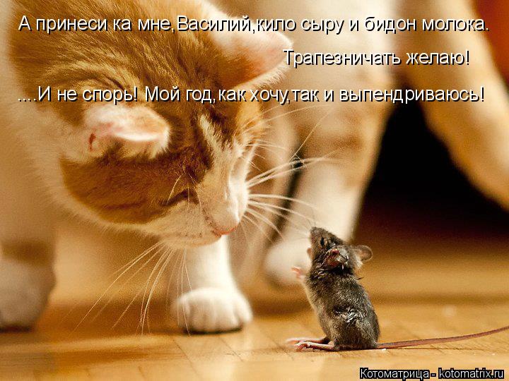 Котоматрица: А принеси ка мне,Василий,кило сыру и бидон молока. Трапезничать желаю! ....И не спорь! Мой год,как хочу,так и выпендриваюсь!