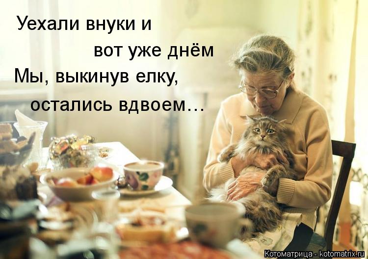 Котоматрица: Уехали внуки и вот уже днём Мы, выкинув елку, остались вдвоем…