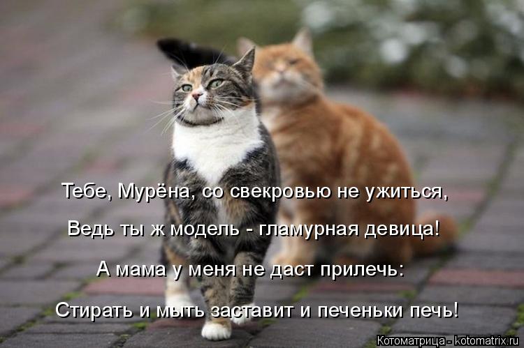 Котоматрица: Тебе, Мурёна, со свекровью не ужиться, Ведь ты ж модель - гламурная девица! А мама у меня не даст прилечь: Стирать и мыть заставит и печеньки п?