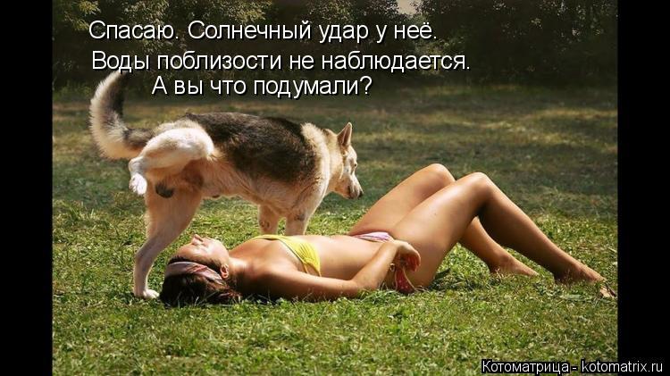 Котоматрица: Спасаю. Солнечный удар у неё. Воды поблизости не наблюдается. А вы что подумали?