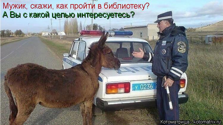Котоматрица: Мужик, скажи, как пройти в библиотеку? А Вы с какой целью интересуетесь?