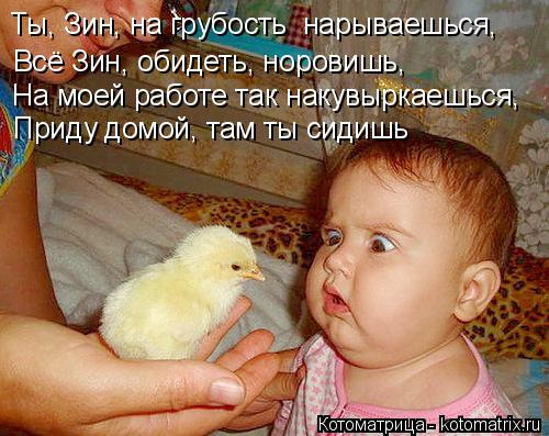 Котоматрица: Ты, Зин, на грубость  нарываешься, Всё Зин, обидеть, норовишь, На моей работе так накувыркаешься, Приду домой, там ты сидишь