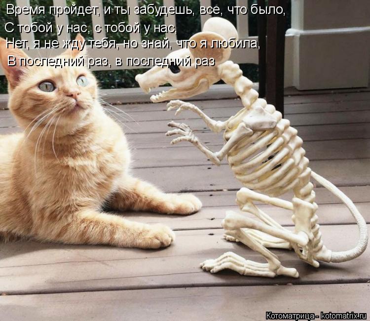 Котоматрица: Время пройдет, и ты забудешь, все, что было, С тобой у нас, с тобой у нас,  Нет, я не жду тебя, но знай, что я любила,  В последний раз, в последний ?