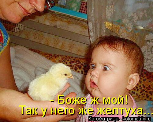 Котоматрица: - Боже ж мой! Так у него же желтуха...