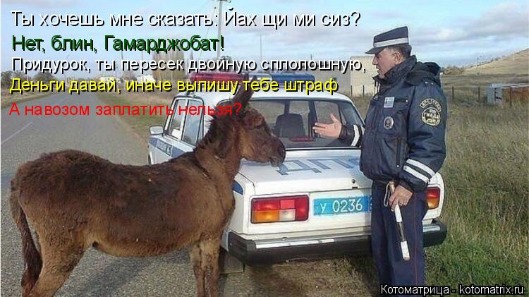 Котоматрица: Ты хочешь мне сказать: Йах щи ми сиз? Нет, блин, Гамарджобат! Придурок, ты пересек двойную сплолошную,   Деньги давай, иначе выпишу тебе штраф ?