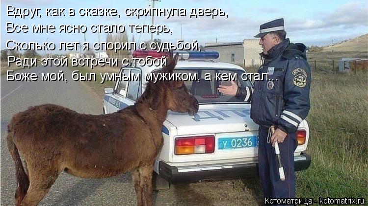 Котоматрица: Вдруг, как в сказке, скрипнула дверь, Все мне ясно стало теперь, Сколько лет я спорил с судьбой, Ради этой встречи с тобой Боже мой, был умным ?