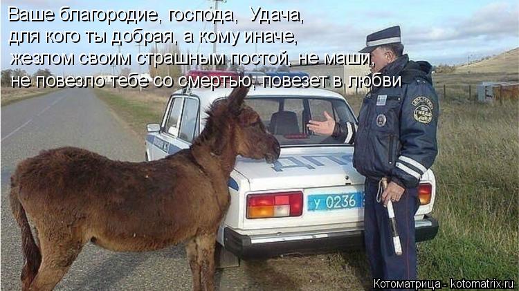 Котоматрица: Ваше благородие, господа,  Удача, для кого ты добрая, а кому иначе,  жезлом своим страшным постой, не маши, не повезло тебе со смертью, повезет 
