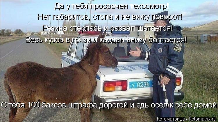 Котоматрица: Да у тебя просрочен техосмотр! Нет габаритов, стопа и не вижу поворот! Резина стерлась и развал шатается! Весь кузов в грязи и кардан внизу б?