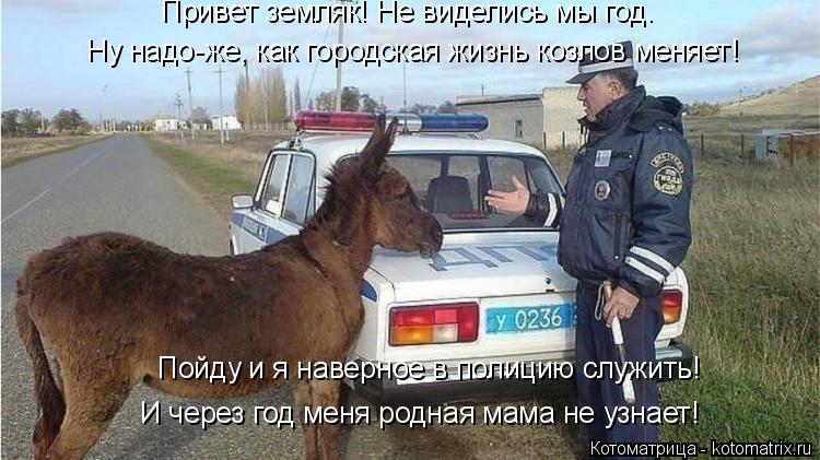 Котоматрица: Привет земляк! Не виделись мы год. Ну надо-же, как городская жизнь козлов меняет! Пойду и я наверное в полицию служить! И через год меня родна?