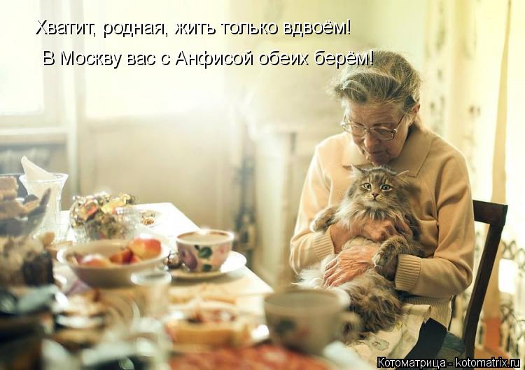 Хватит, родная, жить только вдвоём! В Москву вас с Анфисой обеих берём!... Котоматрица: Хватит, родная, жить только вдвоём! В Москву вас с Анфисой обеих берём!